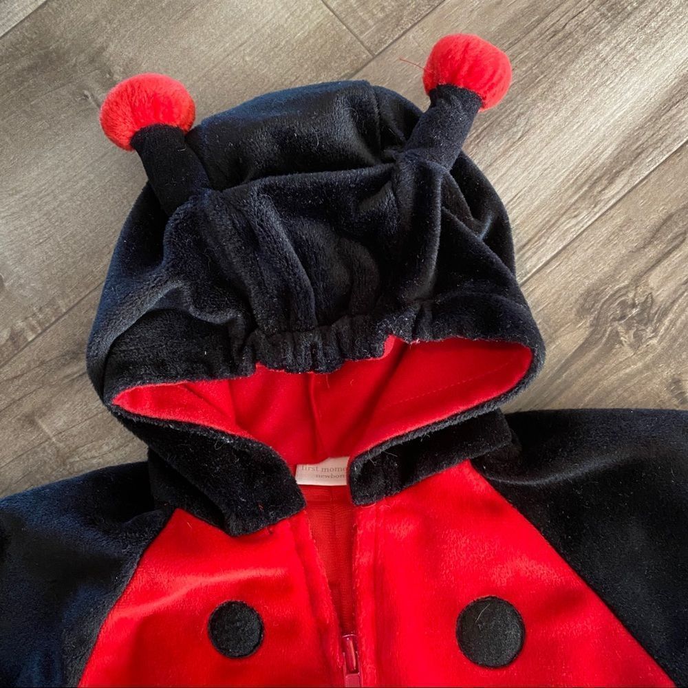First Moments Lady Bug Outfit / Costume size 3/6 months - Picture 3 of 11